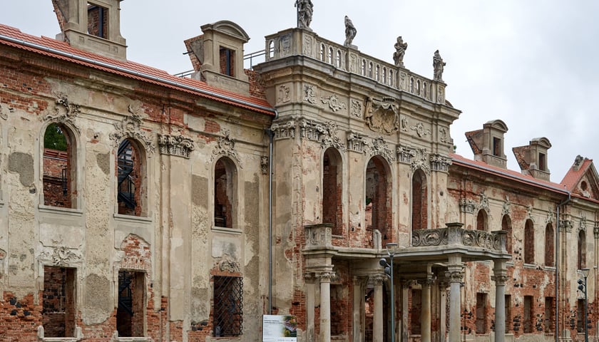 Pałac w Goszczu. Na zdjęciu widać ruiny pałacu