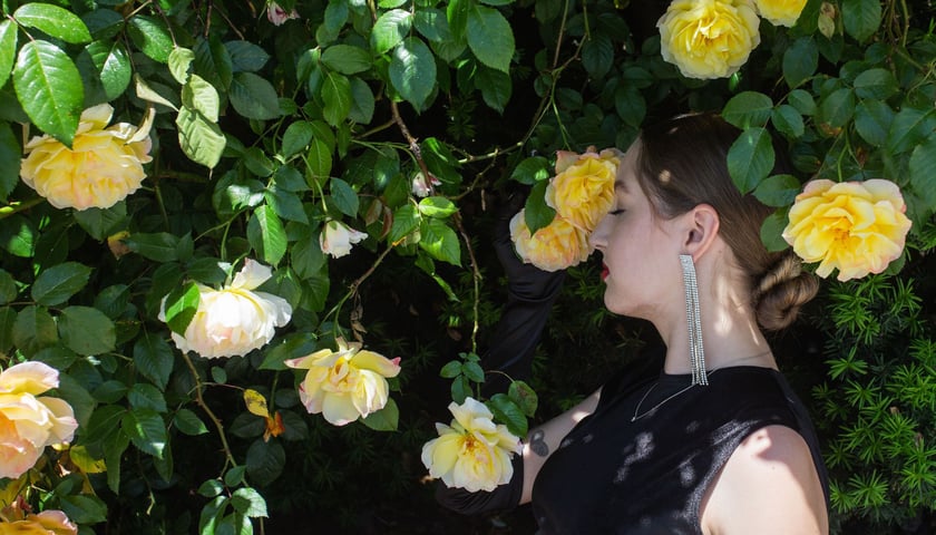 Róże na ogrodzeniu Pałacu Królewskiego i kobieta pozująca do zdjęcia