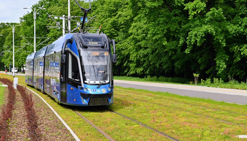 W tramwajach linii 19 od 1 do 4 czerwca nazwy przystanków zapowiadają dzieci. 