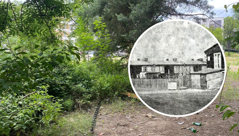 Teren dawnego obozu pracy przymusowej na wrocławskich Sołtysowicach. W kółku fragment archiwalnego zdjęcia baraków. W tle zdjęcie przedstawiające teren obozu współcześnie.