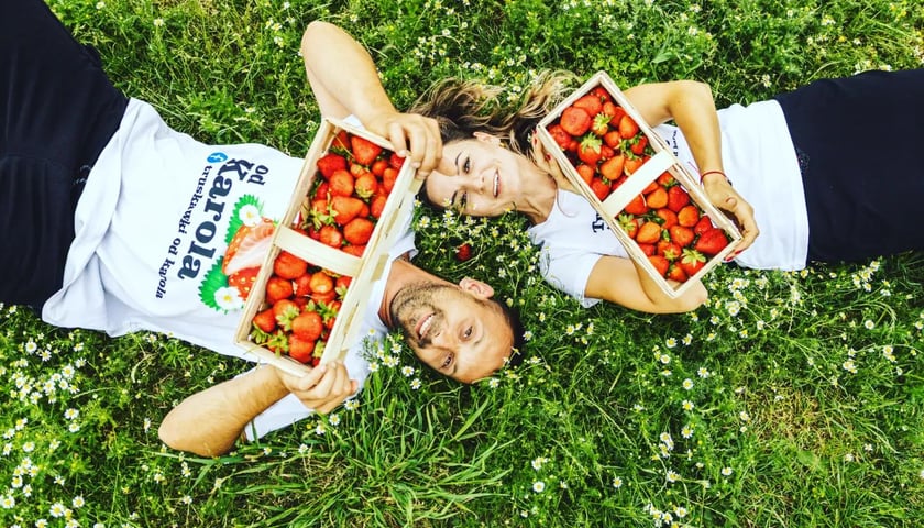 Na plantacje państwa Maciejczyków w Jenkowicach przyjeżdżają tłumy amatorów truskawek. Na zdjęciu leży na trawie kobieta i mężczyzna, trzymają przed sobą koszyki z truskawkami