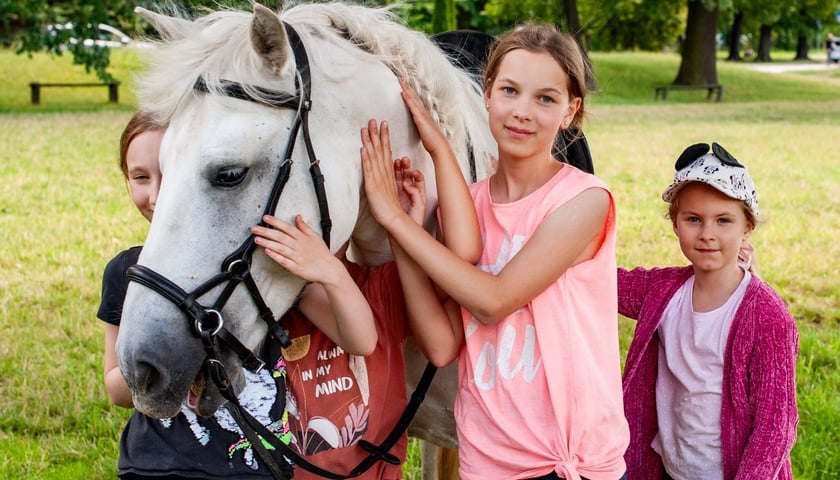 Dzieci i koń na półkoloniach jeździeckich na Partynicach