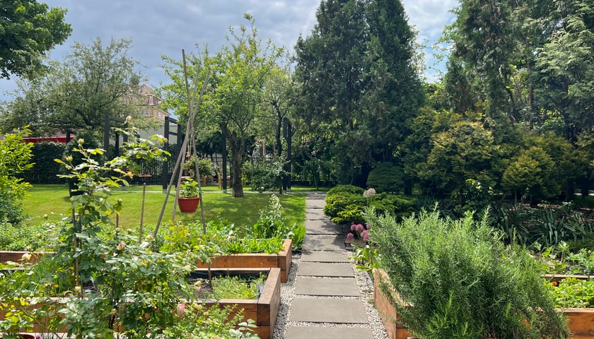 Warsztat - Food & Garden