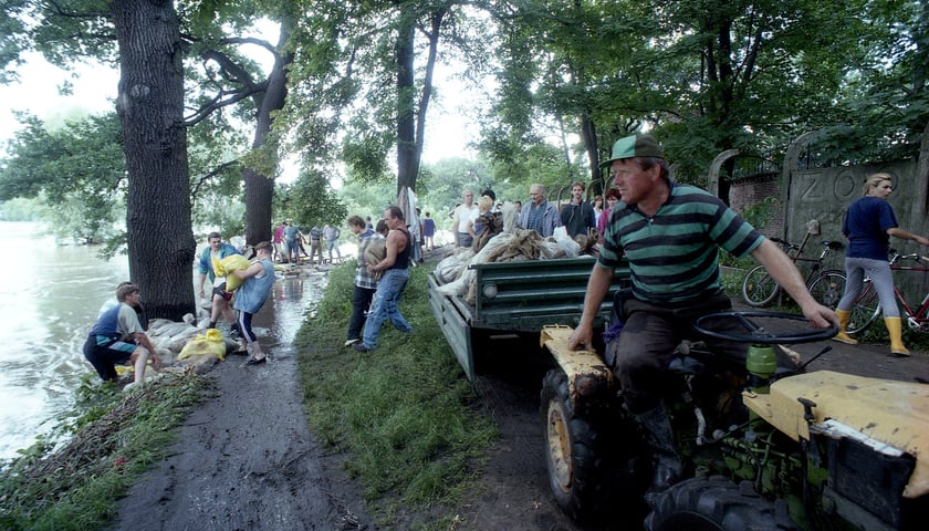 <p>Obrona wrocławskiego zoo podczas powodzi tysiąclecia. Mieszkańcy układają worki z piaskiem na wale. Na pierwszym planie mężczyzna na traktorze z przyczepą, na kt&oacute;rej znajdują się worki</p>