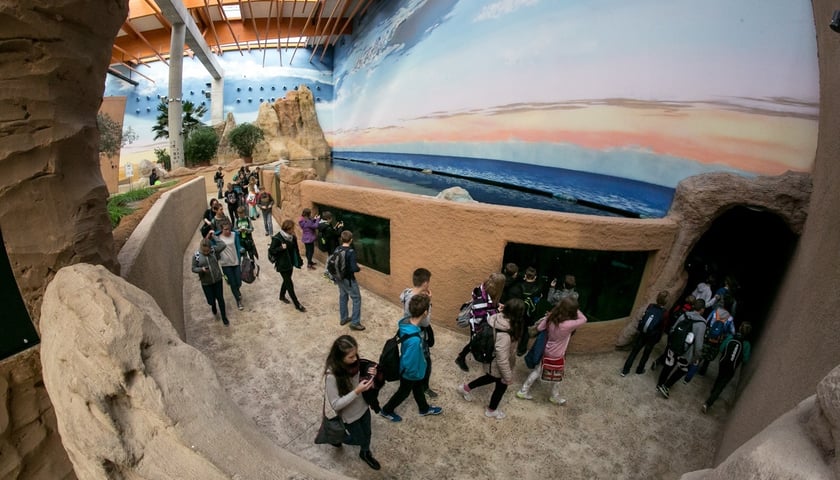 <p>Afrykarium w Zoo Wrocław</p>