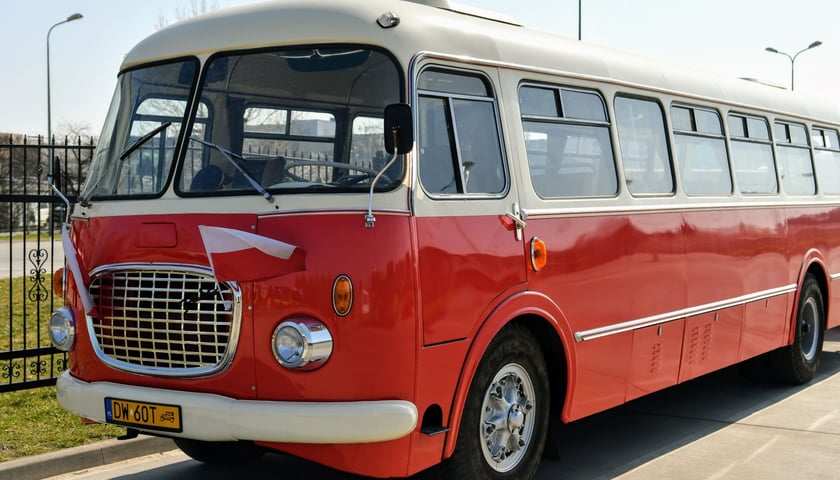 Pieczołowicie odresturowany Jelcz 043, najczęściej nazywany "ogórkiem". Dekady temu stanowił podstawę komunikacji autobusowej w Polsce.  