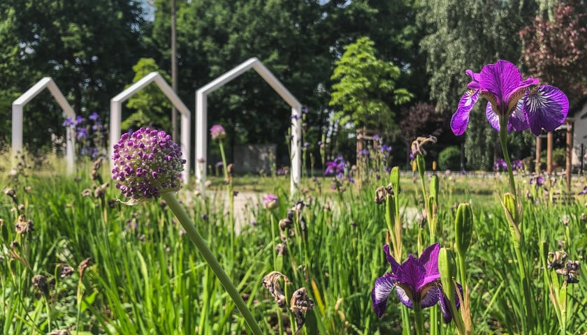 Park kieszonkowy przy ul. Tczewskiej na osiedlu Kowale