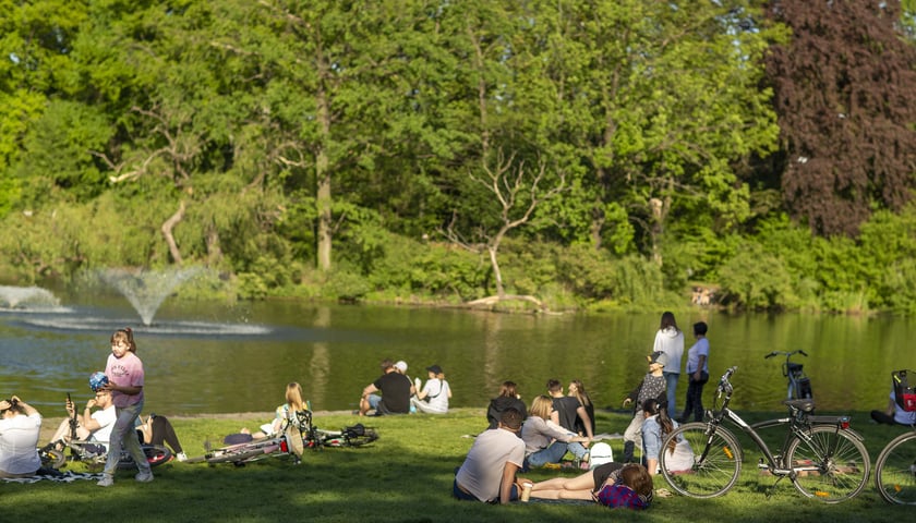 <p>Park Południowy</p>