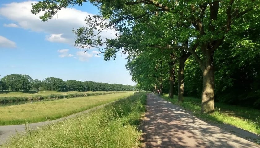 <p>Trasa na wałach nad Odrą</p>