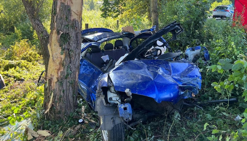Wypadek w Dalborowicach. Na zdjęciu widać auto zniszczone po uderzeniu w drzewo