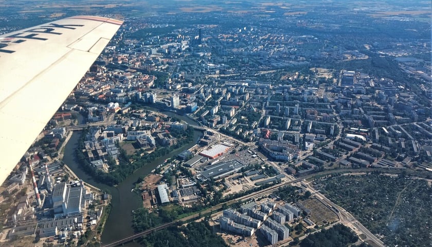 Dzięki "prześwietleniu" miasta z góry dowiemy się, gdzie dokładnie trzeba nasadzić więcej drzew