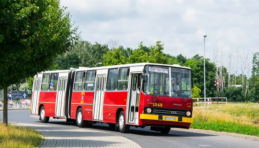 Zabytkowy Ikarus z Poznania. Tym autobusem będzie można przejechać się po Wrocławiu w dniach 12-13 sierpnia 2023.