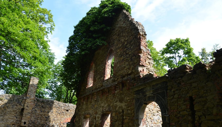 ruiny Stary Książ koło Wałbrzycha