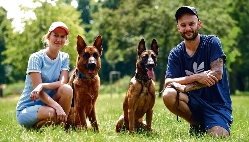Trenerzy psów, Klaudia Kaczmarek i Krzysztof Podemski, z psami: Dolarem (z lewej) i Dantem (z prawej)