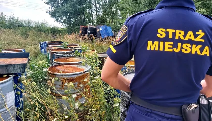 Strażnik miejski stoi tyłem i patrzy na zardzewiałe beczki, które stoją w trawie