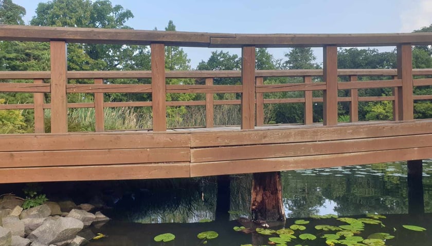 Drewniany most w Ogrodzie Japońskim