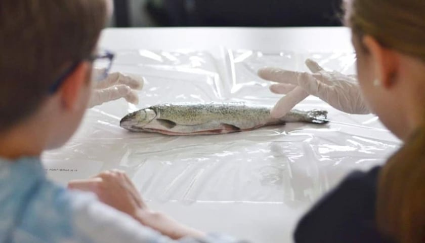 Zdjecia z lekcji biologii