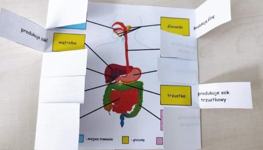 Zdjecia z lekcji biologii