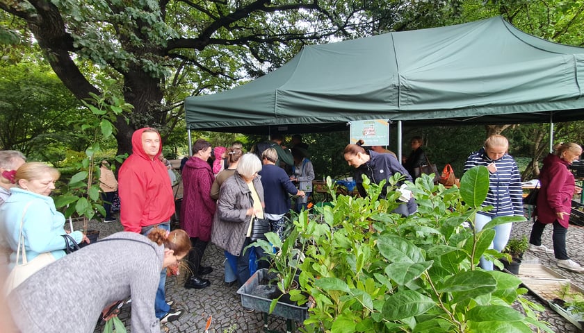 Kiermasz roślin w Ogrodzie Botanicznym