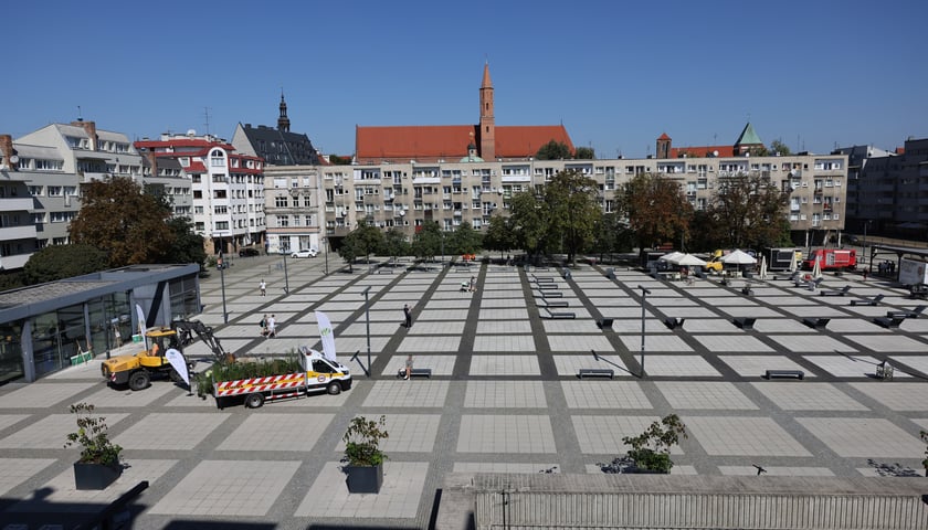 Na placu Nowy Targ nasadzonych zostanie ponad 63 tys. roślin - efekt poznamy wiosną