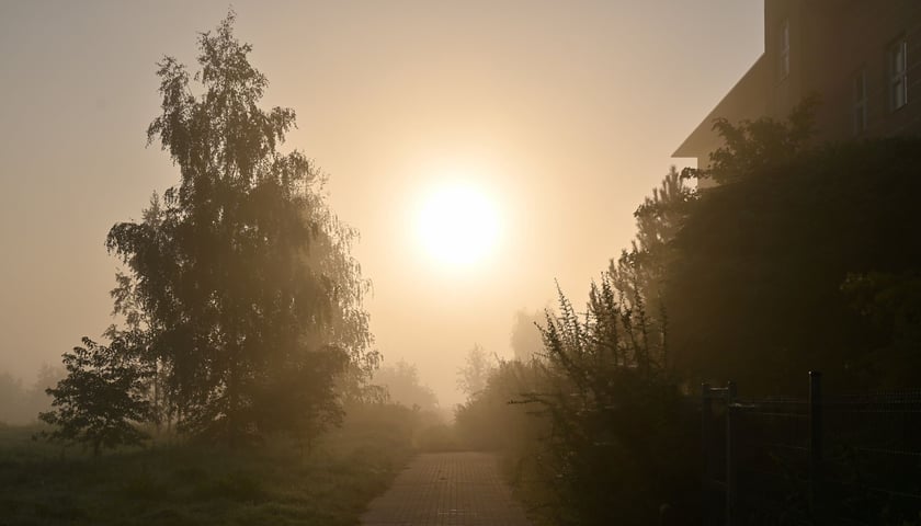 Wschodzące słońce nad osnutymi mgłą Złotnikami.