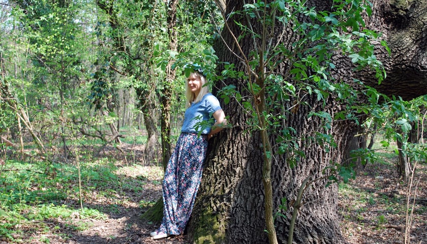 Dąb Strażnik