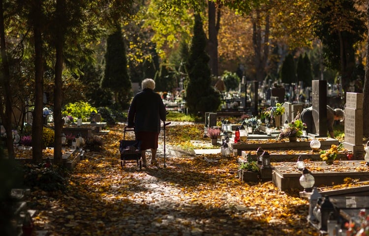 Władze Wrocławia zaplanowały w sumie 212 tysięcy nowych miejsc na cmentarzach komunalnych