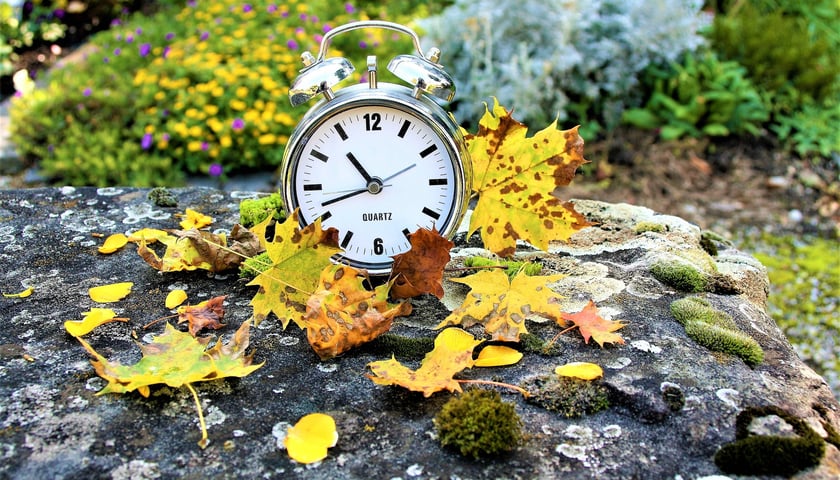 Zegarek stojący wśród jesiennych liści 