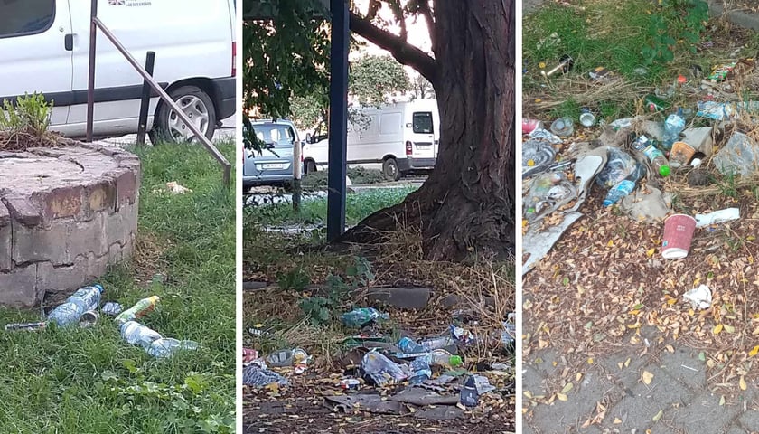 Butelki i śmieci na trawniku, pod drzewem, obok studni 