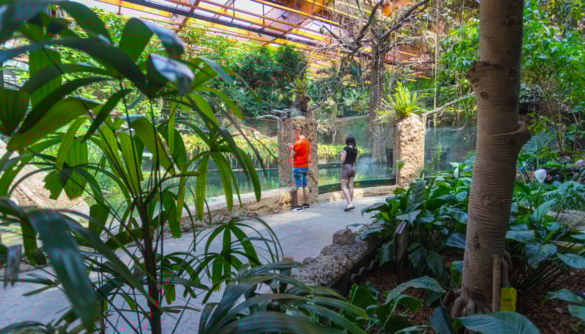 Afrykarium we wrocławskim zoo