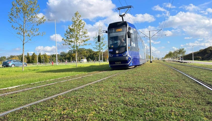 Torowisko na ul. Kosmonautów zazieleniło się. Zobacz, jak teraz wygląda