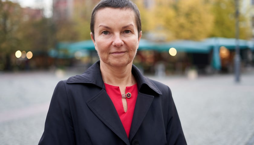 Anna Pacześniak, politolog, Instytut Studiów Europejskich, Uniwersytet Wrocławski