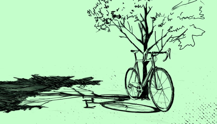 Rower oparty o drzewo na zielonym tle. Grafika ilustracyjna.