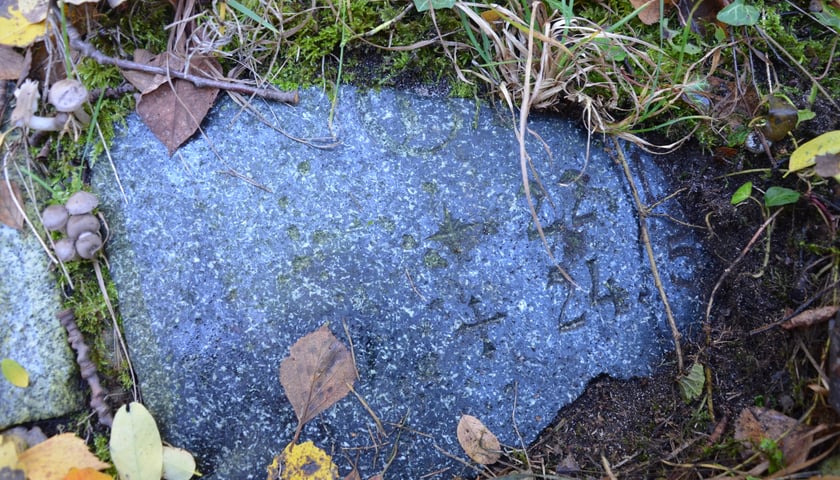 fragment płyty nagrobnej wmurowanej w ocembrowanie stawu