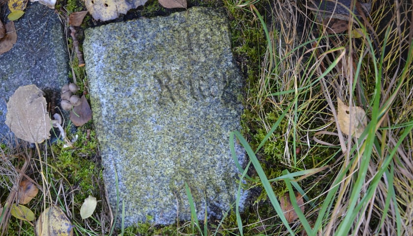 fragment płyty nagrobnej wmurowanej w ocembrowanie stawu