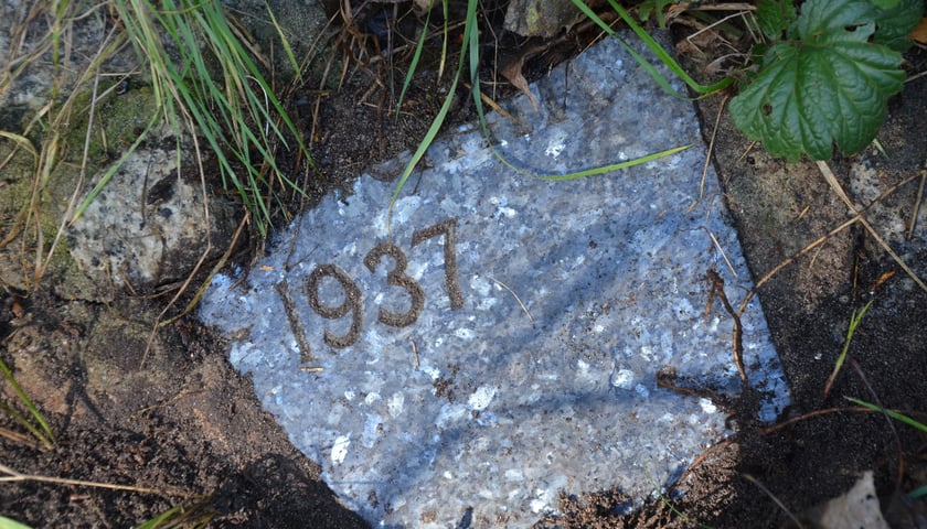 fragment płyty nagrobnej wmurowanej w ocembrowanie stawu