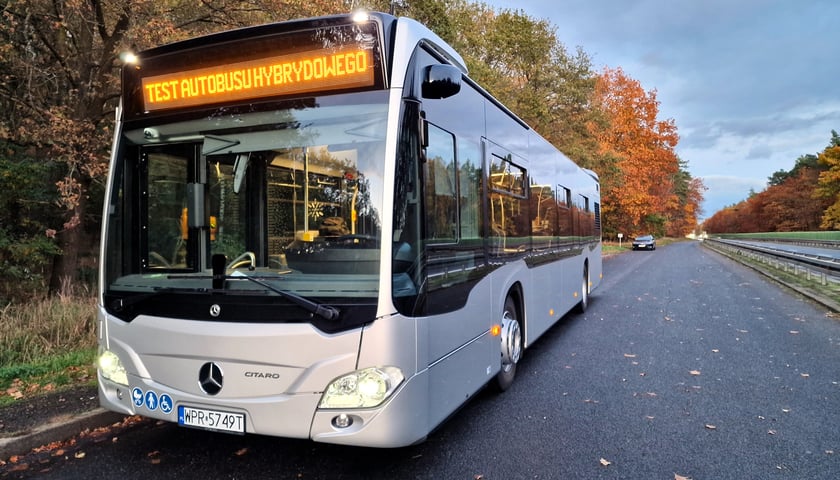 Hybrydowy Mercedes Citaro łączy Wrocław z miejscowościami w gminie Długołęka. 