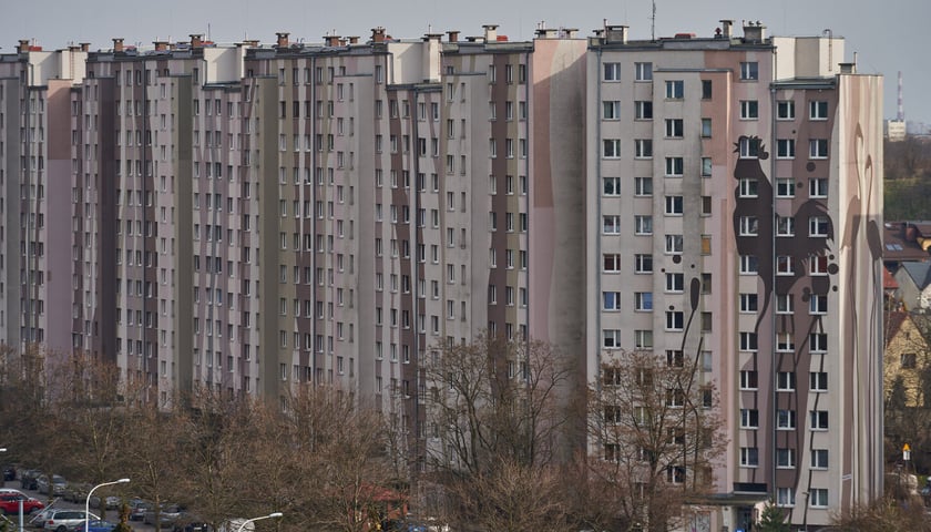 <p>Ogromne zwierzęta na fasadach budynkow na osiedlu Gaj</p>