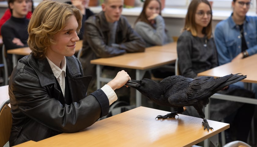 Kruk Ronin, który odwiedza uczniów IV LO