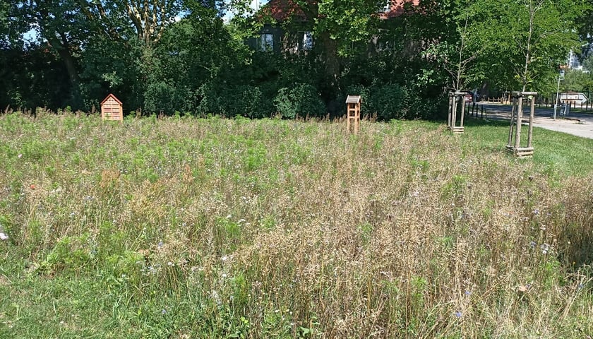 Wesoła Górka po zagospodarowaniu