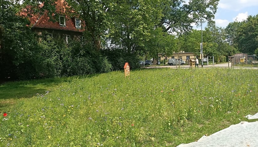 Wesoła Górka po zagospodarowaniu
