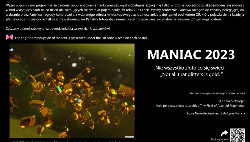 <p>Pierwsza tablica informacyjna: MANIAC 2023: Nie wszystko złoto, co się świeci"</p>