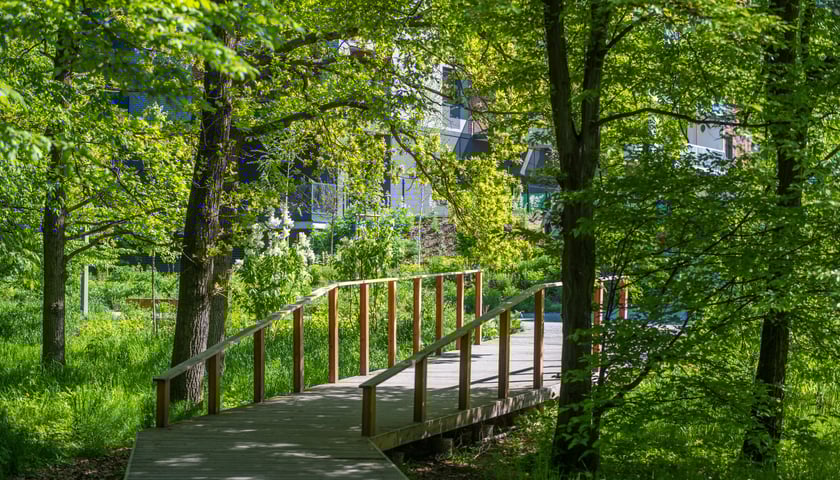 <p>Pierwsza nagroda w kategorii Przestrzeń publiczna:&nbsp;<span style="font-family: Calibri, sans-serif; font-size: 14pt;">PoPoPark</span></p>
