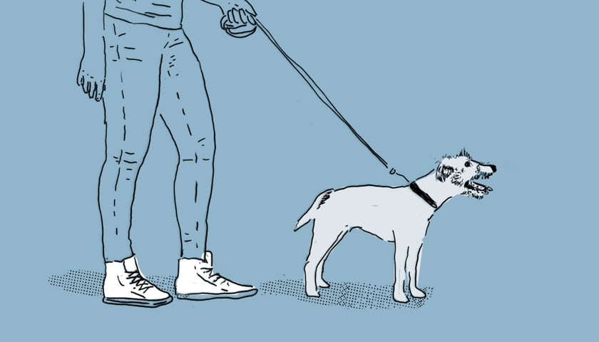 Człowiek z białym psem na smyczy na szaroniebieskim tle. Grafika ilustracyjna.