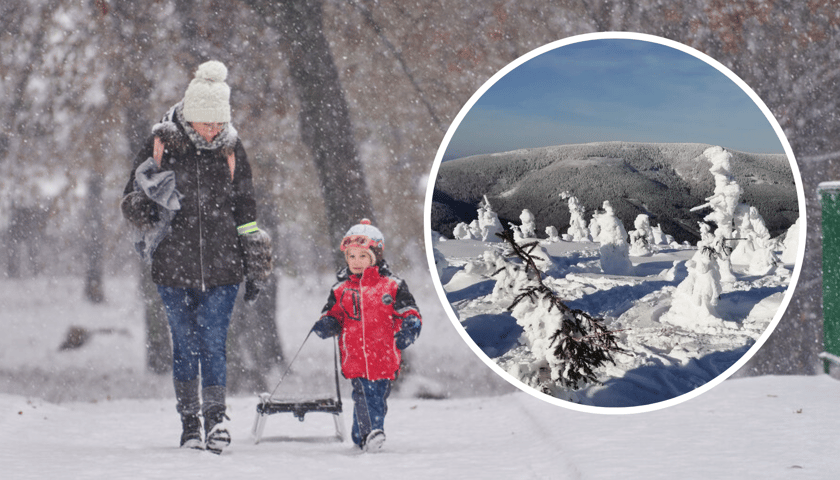 Miejski park zimą, prószy śnieg, kobieta idzie z dzieckiem, które ciągnie sanki (zdjęcie główne); ośnieżone stoki gór (zdjęcie w kółku)