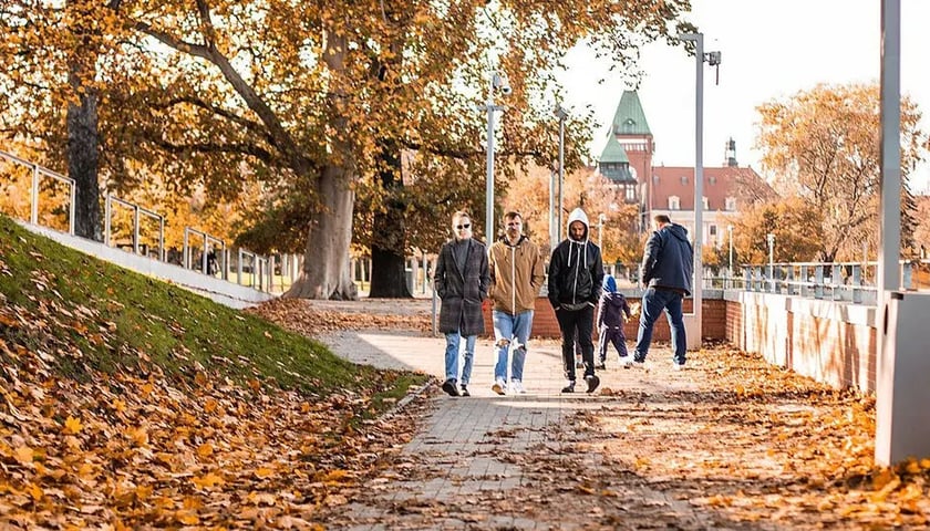 Informacja o wynikach konsultacji projektu uchwały RM Wrocławia w sprawie Powiatowego programu rozwoju pieczy zastępczej we Wrocławiu na lata 2024-2026