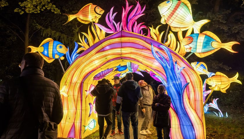 Świetlne atrakcje na wystawie Garden of Lights-kolorowy tunel i zwiedzający