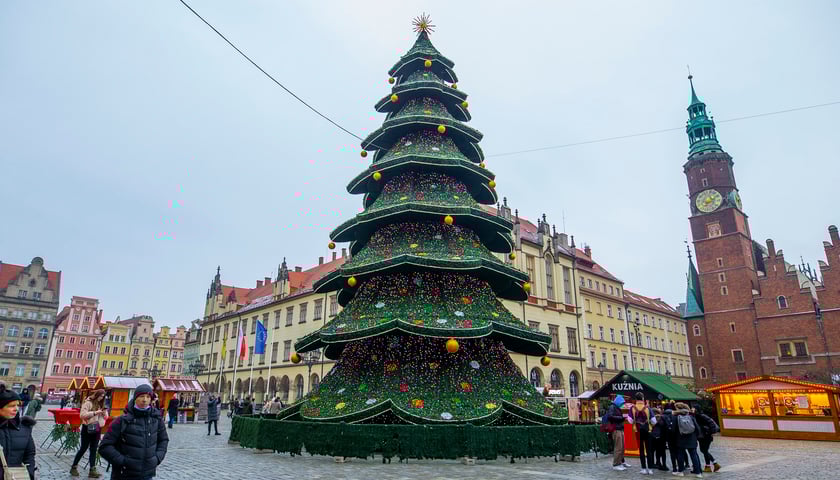 Na zdjęciu choinka, która stoi na wrocławskim Rynku