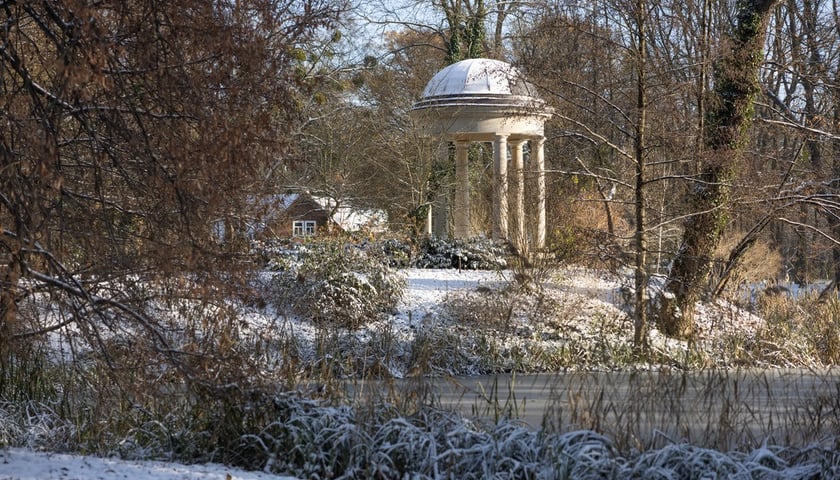 <p>Pałac Korn&oacute;w w Pawłowicach - park&nbsp;</p>