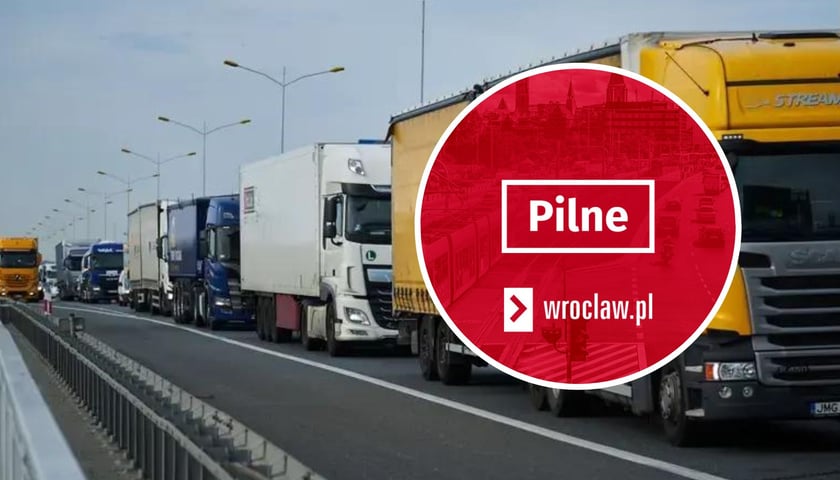 Ciężarówki na autostradzie, w kółku napis pilne 